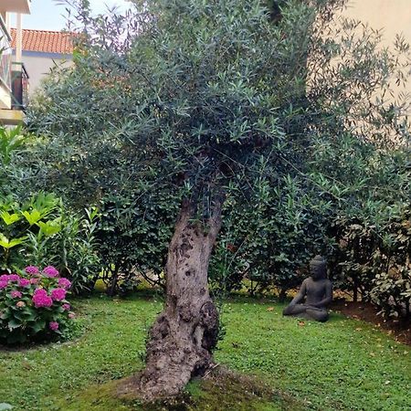 Superbe Appartement Avec Jardin Saint Charles Biarritz Eksteriør billede