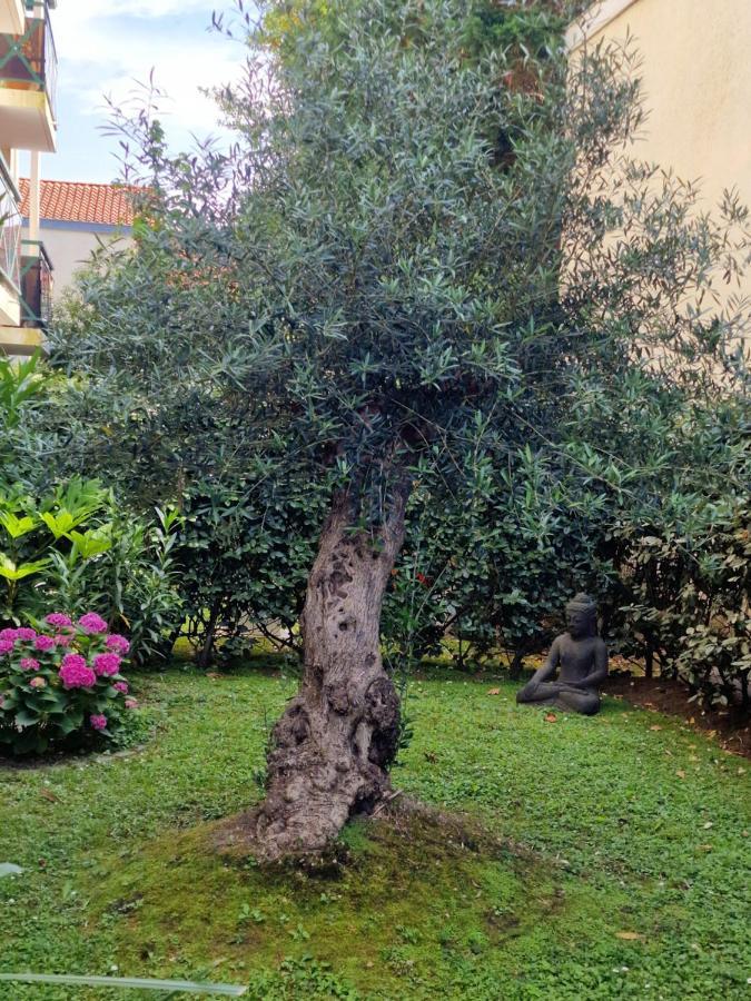 Superbe Appartement Avec Jardin Saint Charles Biarritz Eksteriør billede